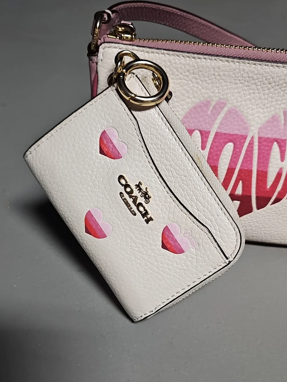 Coach nolita 19